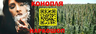 дживик Шебекино