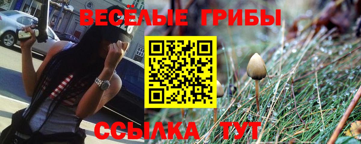 Псилоцибиновые грибы мицелий Торжок