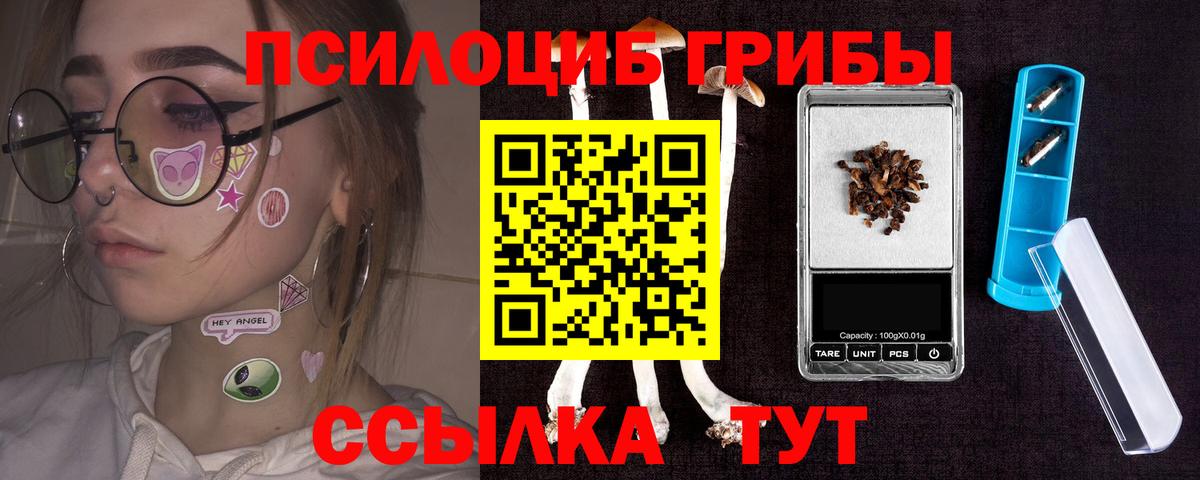 Торжок  Псилоцибиновые грибы Magic Shrooms  Вход с VPN  Псилоцибиновые грибы мицелий 